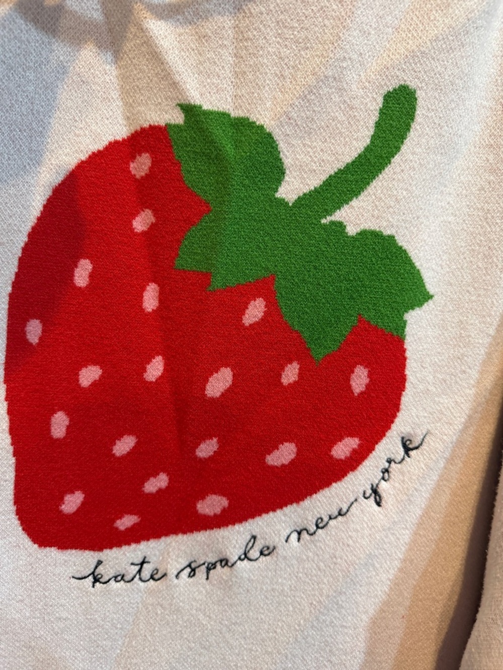 Kate Spade for Target Hoodie 🍓 - Picture 6 of 7